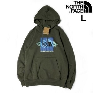 1円～!売切!【正規新品】THE NORTH FACE◆NOV GRAPHIC HOODIE プルオーバー パーカー US限定 裏起毛 ボックスロゴ 登山(L)カーキ 181130-33