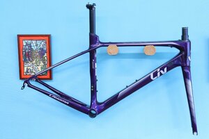 2019 Liv LANGMA ADVANCED PRO 0 sizeS　リヴ　ランマ　アドバンスド　プロ　電動変速専用　GIANT　ジャイアント　cicli17