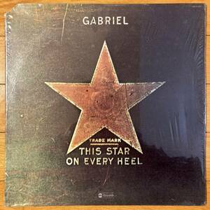 ■Gabriel■This Star On Every Heel■ABCD-885■AOR■Frankie Bleu■1099