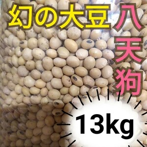 自然栽培 幻の大豆 『八天狗』13kg 熊本県産