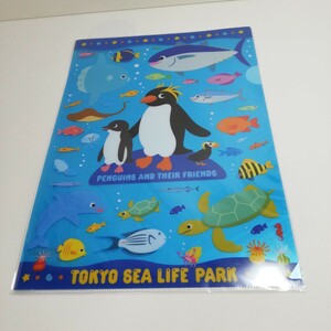 TOKYO SEA LIFE PARK 東京シーライフパーク ペンギン クリアファイル 未使用品
