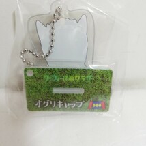 伝説の名馬 オグリキャップ アクリルキーホルダー アクリルスタンド ボールチェーン 未開封品 ターフィー通販クラブ製_画像3