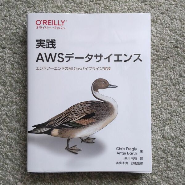 実践 AWSデータサイエンス