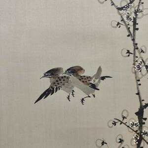 Art hand Auction [Authentic] // Gakukou/Plum/Sparrow/Plum and Sparrow/Flowers and Birds/Chinese Painting/Hoteiya Hanging Scroll A-595, Painting, Japanese painting, Flowers and Birds, Wildlife