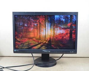 4195　医療用高精細モニター　EIZO　ColorEdge CS230　23型ワイド　フルHD　HDMI / DP端子　IPSパネル　LED　ディスプレイ