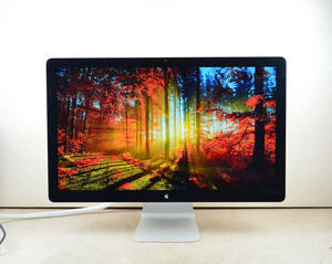 動作品！2112　アップル　APPLE　Cinema Display　A1316　27型ワイド　WQHD 2560×1440　スピーカー内蔵　IPS　LED　ディスプレイ