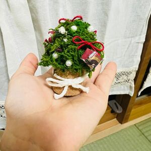 手のひらサイズのミニクリスマスツリー