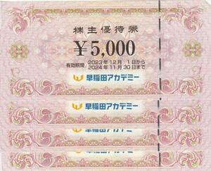 早稲田アカデミー 株主優待券 20000円分 (期限：2024年11月)