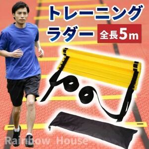 【送料無料】トレーニングラダー　基礎　トレーニング　スポーツ　瞬発力　5m10枚