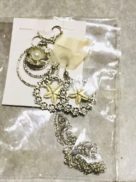 ハンドメイド作品.貝殻ピアス&ネックレスた2点セット フォロー.リピ様割有りクーポン利用を利用してね。
