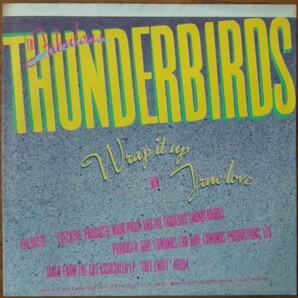 輸入盤ジャケットのみ : ファビュラス・サンダーバーズ The Fabulous Thunderbirds / ピクチャースリーヴ3種（レコードは付いていません。)の画像5