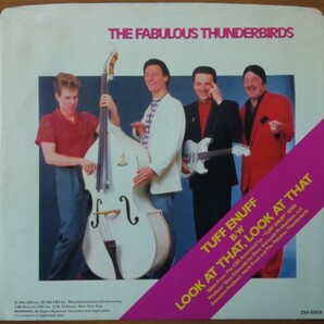 輸入盤ジャケットのみ : ファビュラス・サンダーバーズ The Fabulous Thunderbirds / ピクチャースリーヴ3種（レコードは付いていません。)の画像3