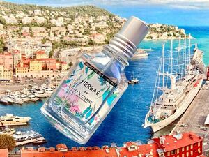 Обратное решение! L'Occitane Elva Bale Fragrance Hair Mist 30 мл HB Blancha Herb