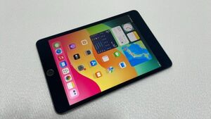 iPad mini5 MUX52J/A simロック解除済み Apple docomo タブレット 【6282】