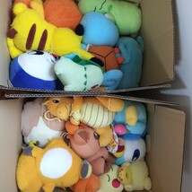 ポケモン ぬいぐるみ大量まとめ売りセット ピカチュウ ピチュー Pokmon ゼニガメ イーブイ ミュウ おもちゃ 匿名配送 ポケットモンスター_画像9