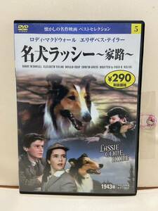 【名犬ラッシー〜旅路〜】洋画DVD《映画DVD》（DVDソフト）送料全国一律180円《激安！！》