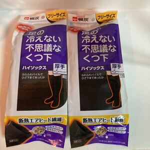 ②足の冷えない不思議なくつ下 厚手 桐灰 