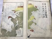 宋紫石画譜　大本 2冊　明和2年　摺優良　須原屋茂兵衛刊　彫刻田中平兵衛　花鳥 仙人 動物 彩色木版画 和本 唐本 古書 絵本 漢画 南画 _画像5