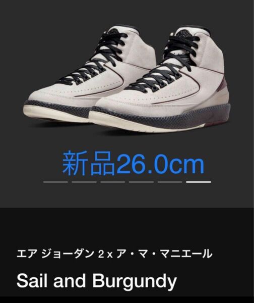 新品 NIKE ナイキ アママニエール エア ジョーダン 2 JORDAN