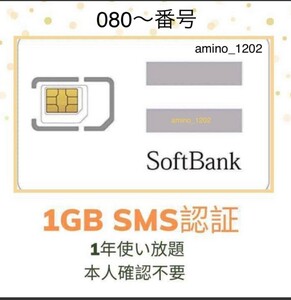 (ゆうパケット)SoftBank プリペイドSIM データ通信　1GB/月　SMS受信可能 データsim sms認証１