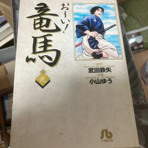 お～い！竜馬　９ （小学館文庫） 武田鉄矢／原作　小山ゆう／作画