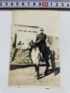 軍隊 生写真 「馬上の将校 帝国陸軍 軍馬 中支戦線 」旧日本軍 軍隊 軍隊写真 軍人写真 軍服 将校 古写真 