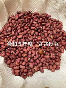 令和5年度　新豆　ささげ豆　200g