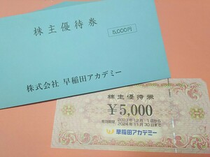 ネコポス無料■5000円分1枚 早稲田アカデミー 株主優待券■水戸 野田(学園)クルゼ ExiV SPICA,English ENGINE,LOGOSAKADEMEIA,IBS 11月末迄