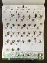 新品★熱帯植物図鑑　2024年壁掛けカレンダー_画像5