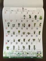 新品★熱帯植物図鑑　2024年壁掛けカレンダー_画像6
