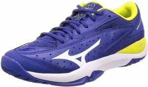 ミズノ MIZUNO テニス WAVE FLASH OC 61GB194501 22.5㎝　