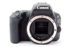 保証付 キャノン CANON EOS Kiss X9 デジタル一眼 カメラ 動作確認済 カメラ【2022/03/11日までの保証】☆438