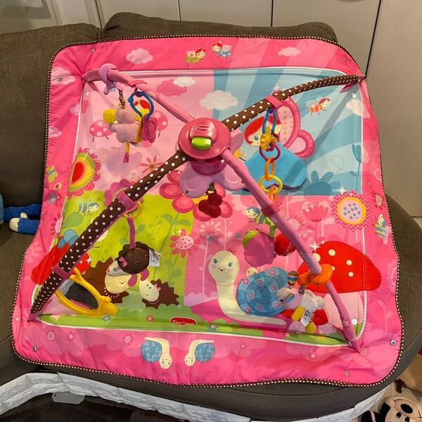 タイニーラブ TinyLove タイニープリンセス ジミニー ムーブ&プレイ