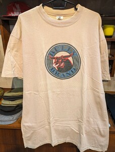 レア！ BULLY BRAND 90s Tシャツ XL ビンテージ VINTAGE オールドスクール スケートボード FINEST QUALITY NHS