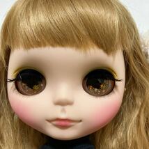 ブライス Blythe スカート3枚　ベスト　イヤーマフ_画像2