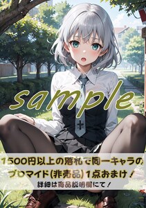 2607 サーニャ V リトヴャク ストライクウィッチーズ ストウィチ A4 同人 イラスト 巨乳 美少女 コスプレ Anime アニメ セクシーアート acg