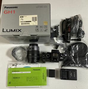 Panasonic LUMIX GH1 Lens 14-140mm F4-5.8 ミラーレス 一眼レフ 未使に近い