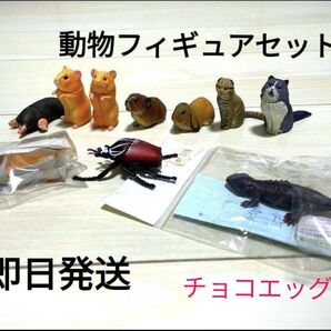 【美品】【クーポン利用可】チョコエッグ 動物フィギュア