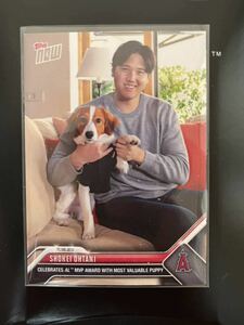 ☆【1円スタート】2023 topps NOW ロサンゼルス・エンゼルス 大谷翔平 11/16 MVP受賞のリモート会見に愛犬と登場☆