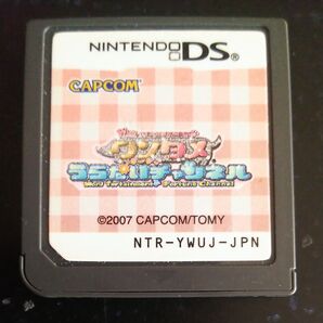 ニンテンドー DS ソフト ワンタメ うらない チャンネル