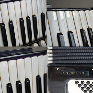 希少 レア ホーナー HOHNER VERDI V N 41鍵 120ベース 鍵盤式 アコーディオン 純正 ハードケース 付 ドイツ 製 ブラック 黒 ⅤN 5 N 札幌の画像7