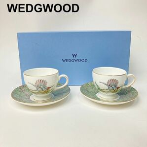 WEDGWOOD ウェッジウッド ハミングバード カップ&ソーサー ペア 旧刻印 B122313-123の画像1