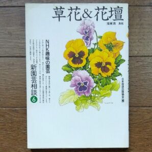 草花&花壇　ＮＨＫ趣味の園芸相談6