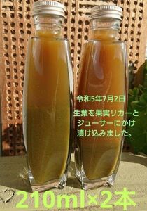 どくだみ チンキ 生葉 ジューサー リカー漬 ドクダミチンキ 210ml×2本 420ml