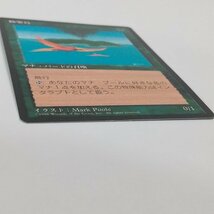 sA279o [人気] MTG 極楽鳥 Birds of Paradise 第4版 黒枠 4ED 日本語版_画像4