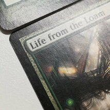 sB317o [人気] MTG 壌土からの生命 Life from the Loam ラヴニカ：ギルドの都 RAV 日本語版 英語版 各2枚 計4枚_画像10