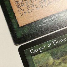 sB318o [人気] MTG 花の絨毯 Carpet of Flowers ウルザズ・サーガ USG 日本語版 英語版 各2枚 計4枚_画像9