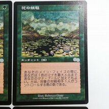 sB318o [人気] MTG 花の絨毯 Carpet of Flowers ウルザズ・サーガ USG 日本語版 英語版 各2枚 計4枚_画像4