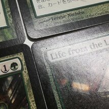 sB317o [人気] MTG 壌土からの生命 Life from the Loam ラヴニカ：ギルドの都 RAV 日本語版 英語版 各2枚 計4枚_画像8