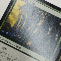 sC685o [まとめ] MTG 緑 レア 森の女人像 ニッサの誓い 夢の円環のドルイド 各3枚 計9枚_画像8